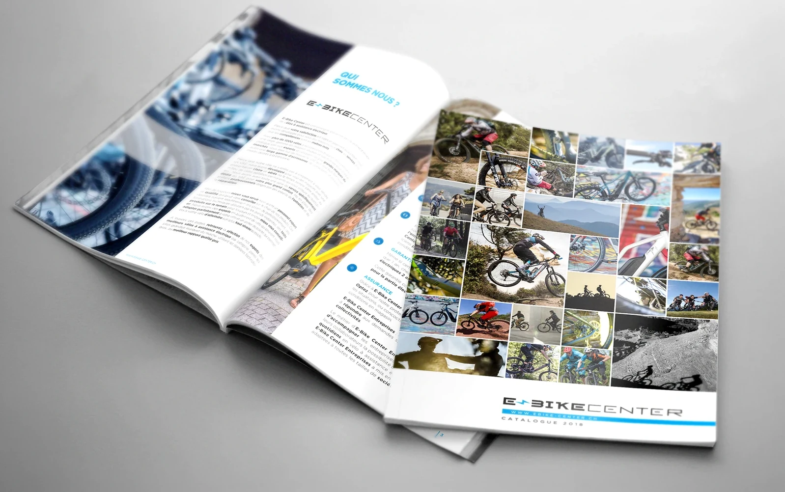 Electric Bikes catalog